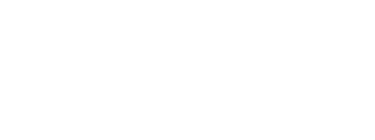 Failte Ireland Logo White